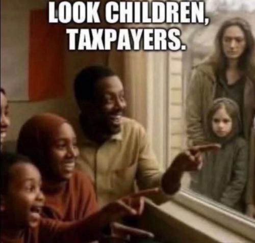 IMG_20251114_075247_170