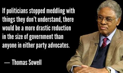 if-politicians-would-stop-meddling