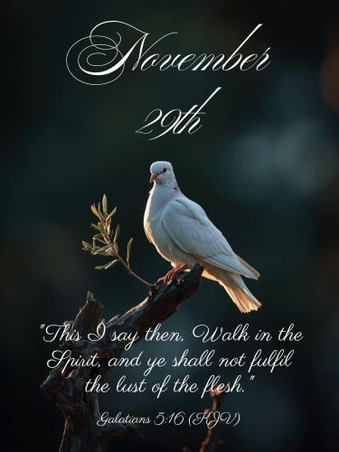 590536173_866486862552328_591976247877058712_n