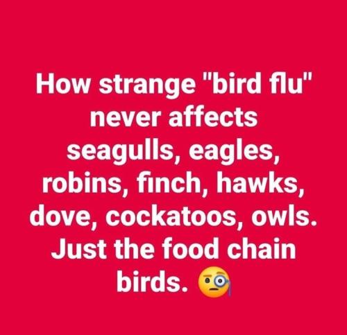 7ac0cd28560a7dbbe96a59769dd82ee5