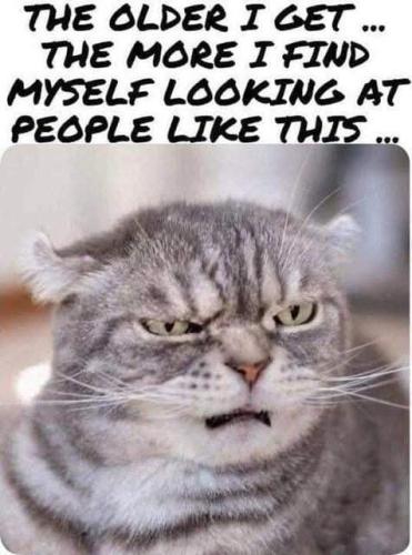 FB_IMG_1764288831704