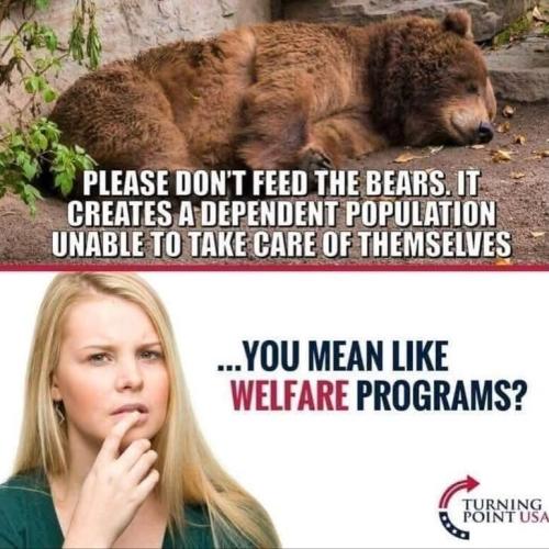 4083ca69-cd31-4481-a31f-2fa63958549f