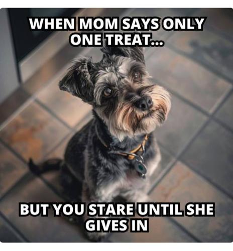 1dc8583b9f56387d2b87b32ceb5c20bd