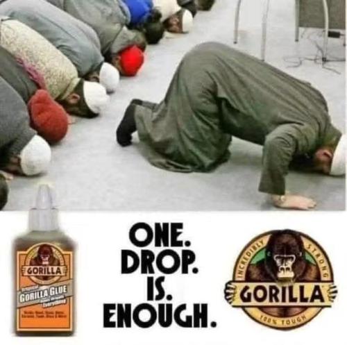 66f2d2a6-c897-4295-bae2-9a1a20537473