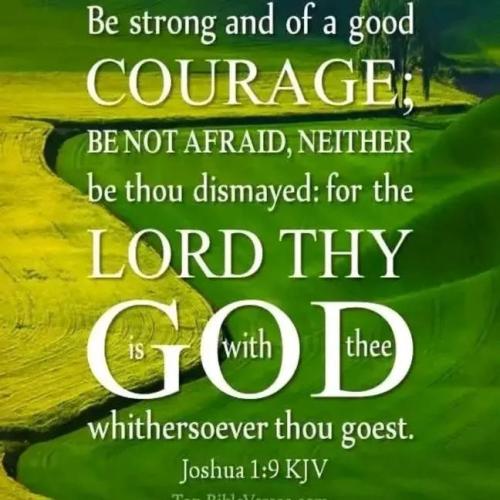 IMG_20251124_194123_608