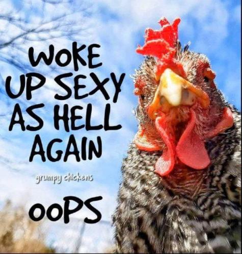 IMG_20251127_100732_007