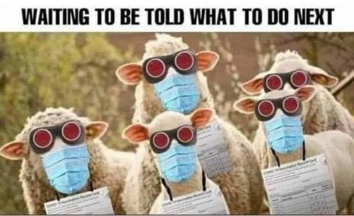 IMG_20251118_015054_461