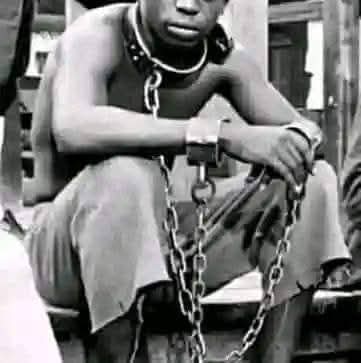 FB_IMG_1752466729609