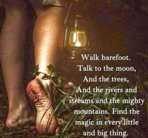 2dd020af41210ef93d59b9a58d01c188