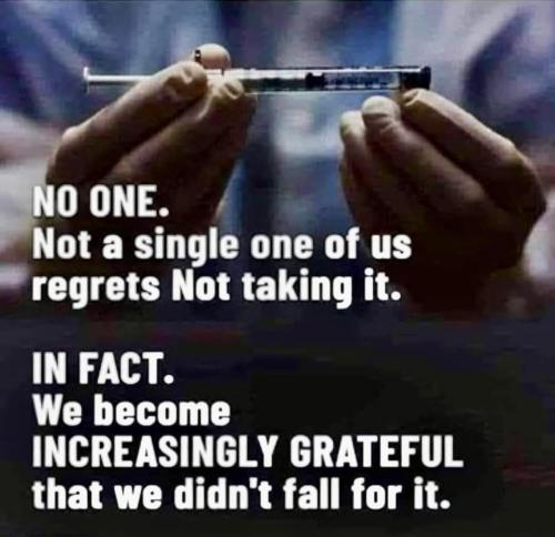 image_637D2BDC-8B2C-4474-92E8-CA6679FB4816