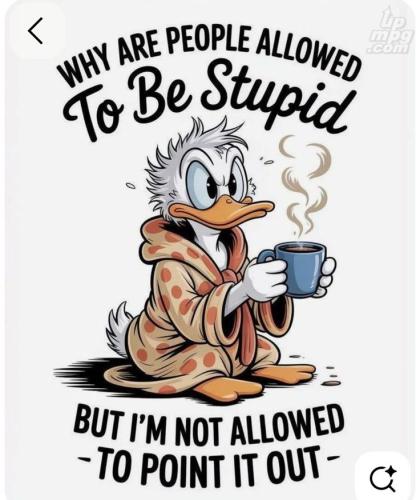 main-qimg-a22de65af89e5719e6b115ddf0565ff0