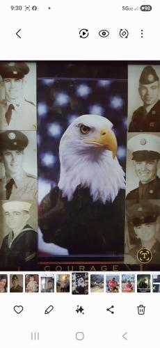 Screenshot_20251111_093004_Gallery