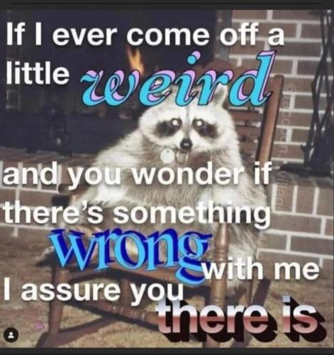 image_8FCF9582-AD27-4E0E-8F3A-ACAFEEE05736