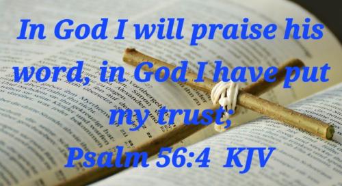 8bee2d32-001a-49cf-a3d3-7b7972cc64b6