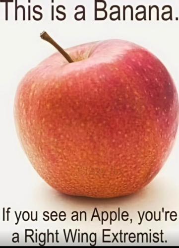 f3297582-1309-42ac-9192-318389b6617e