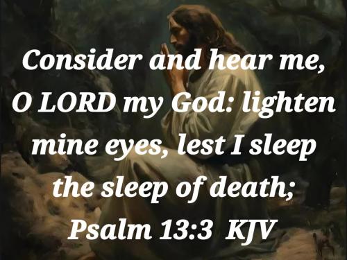 f5220f23-316f-4dcb-8dc6-d13d3ad1dcee