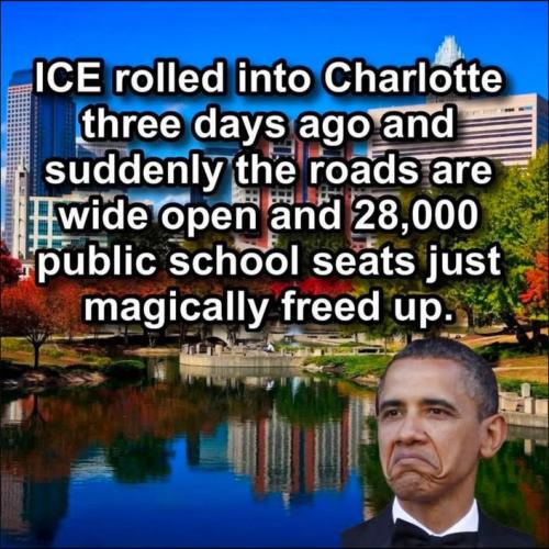 illegal immigration521