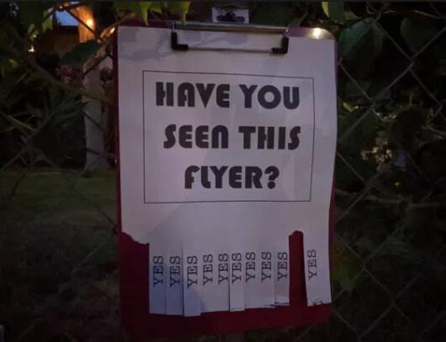 have-you-seen-this-flyer