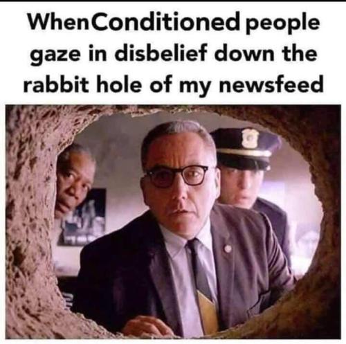 IMG_20251119_142904_446