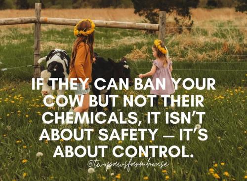 573065801_122172389732529564_4162167744007323224_n