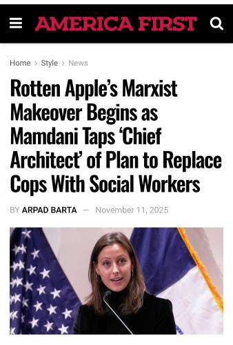 Screenshot_20251112_171521_Brave