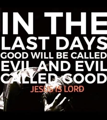 IMG_20251116_141642_559