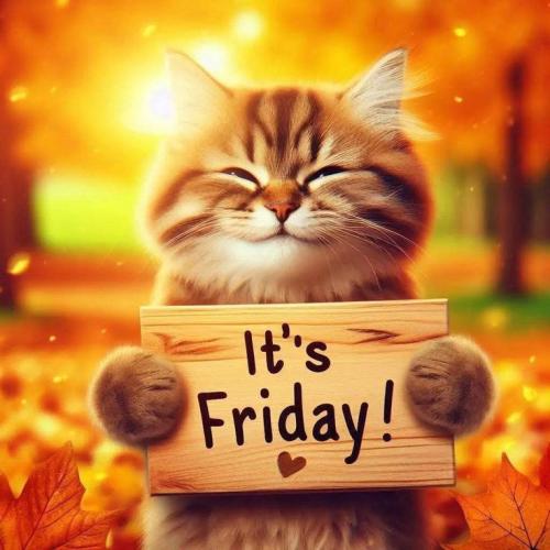 6bf3f9419ad494d06328f08571569ac6