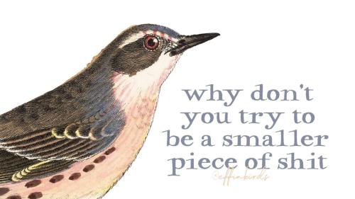 IMG_20251119_141233_584