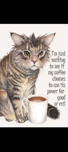 571184165_1889758525217579_5370822155493952793_n