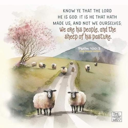 10e01e1776b1b5350b72feb14d1b5b3c