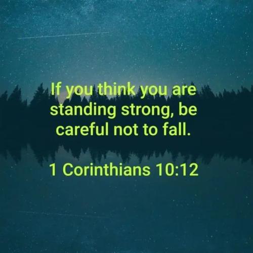 IMG_20251108_233005_986