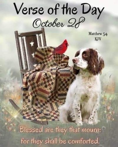 571856057_18030064289743683_7376814679298208342_n