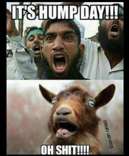 FB_IMG_1762384213074