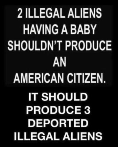 IMG_20251111_073836_557