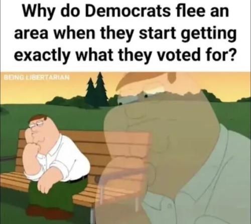 why-do-democrats-flee