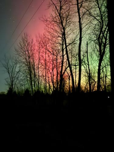 ABD722E0-FCEA-4F06-9976-FFF22FF22175