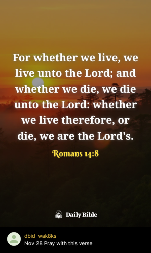 2025-11-281764358857456