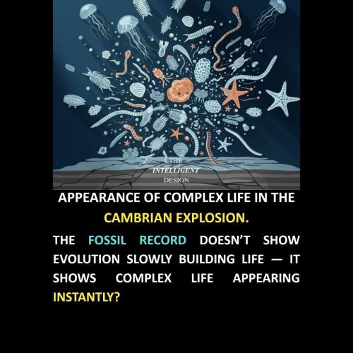 FB_IMG_1763614532659