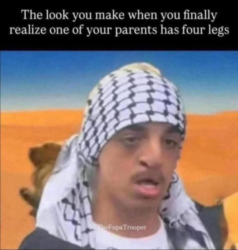 image_4F353421-8D2D-4123-971D-B5B274873423