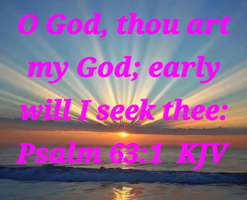 dd80a8a4-39ec-44d7-9c6a-16c15380bd7a