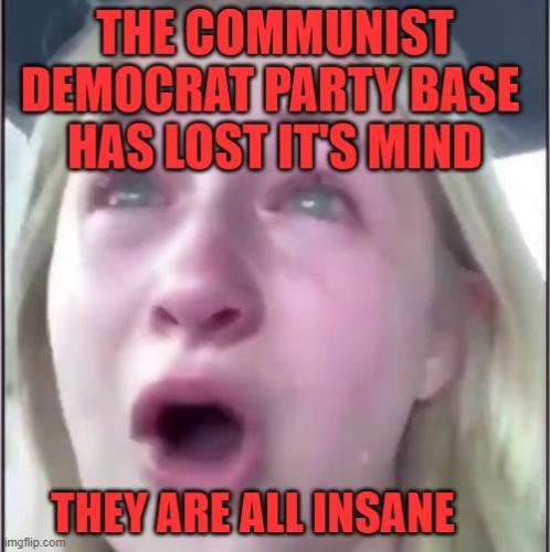 COMMUNISTDEMOCRATSUPPORTERSAREALLINSANE