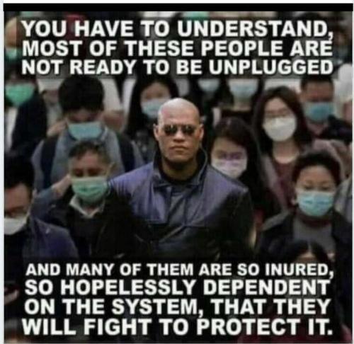 e8619131-f9da-4f52-a41e-9d534ade1459