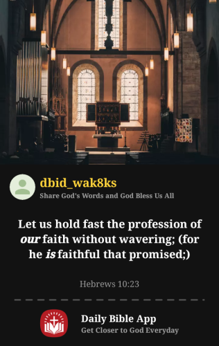 2025-11-231763925919599