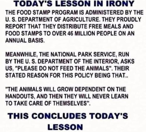 525af040536055a27684144edb5fdb1e