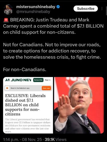 child support for non citizens