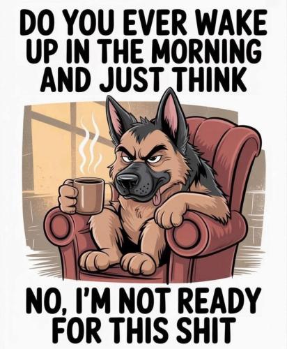 0be2eae6315499c304eaaa0597db40f9