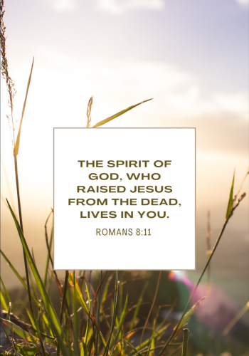 Screenshot_20251117-182636-316