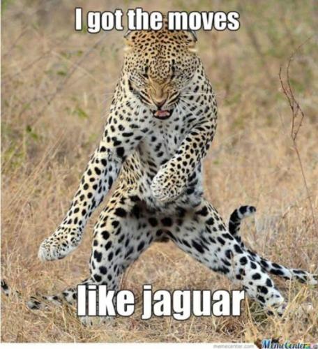 Screenshot_20251106_144521_Gallery