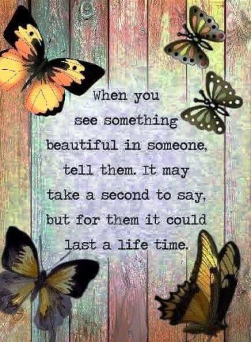 588740259_1384624643031666_5728642043235398286_n