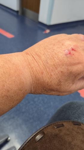 f362bcb0-cc54-4ca1-8bea-a5a33f4c5e74